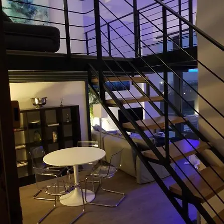 Lejlighed Loft Vue Garonne Dernier Etage Toulouse